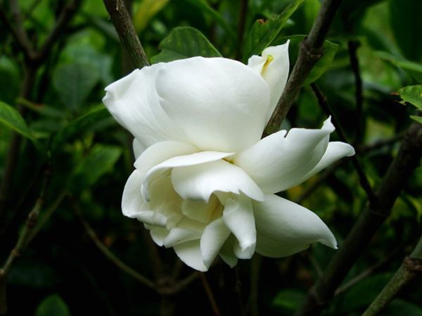 ���ӻ���ô��