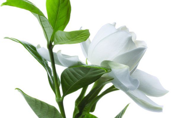 ���ӻ���ô��