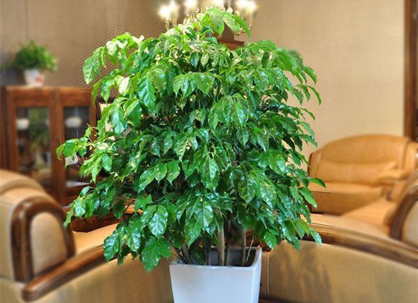 �Ҹ�����ô��