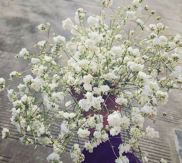 ��������ô��