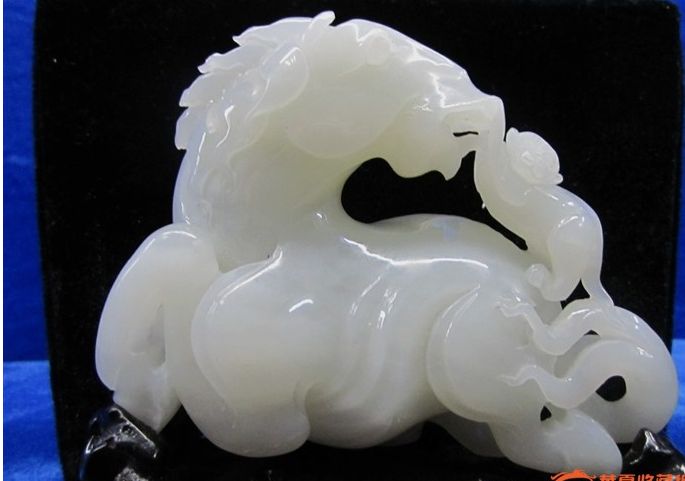 ������֬����