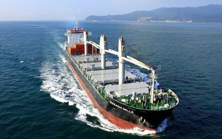 ����Ϳ��