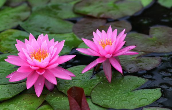 ˯����ô��