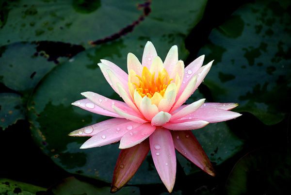 ˯����ô��