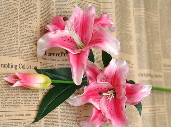 ��ˮ�ٺ���ô��