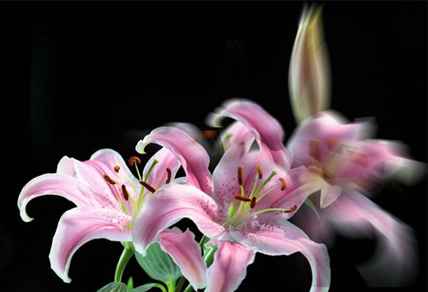 ��ˮ�ٺ���ô��