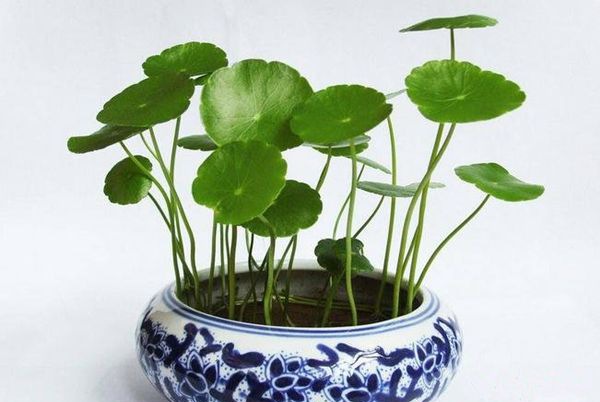 ��Ǯ����ô��