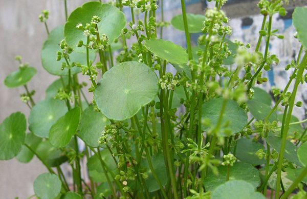 ��Ǯ����ô��