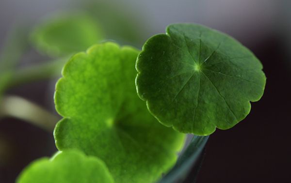 ��Ǯ����ô��