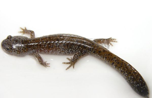 ��������ô��