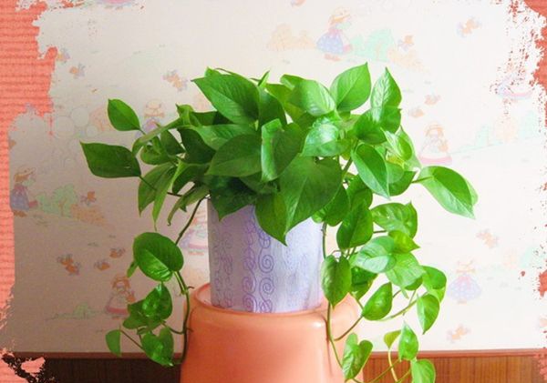 ������ô��