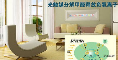 ����Ϳ��