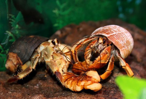 �ľ�з��ô��