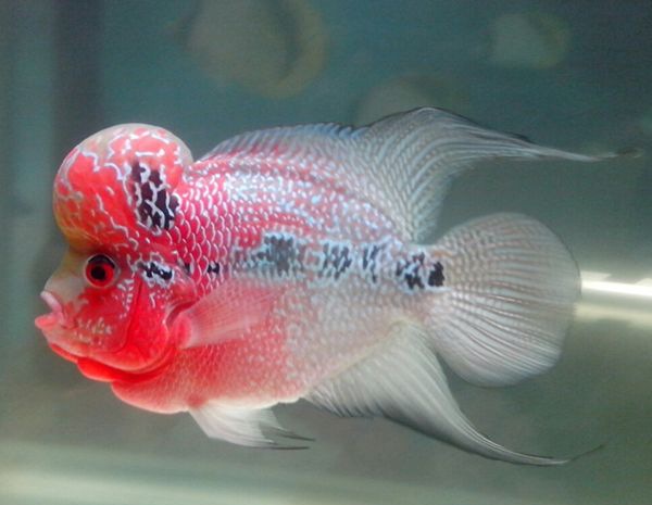 �޺�����ô��