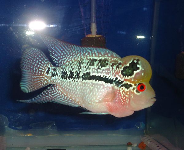 �޺�����ô��