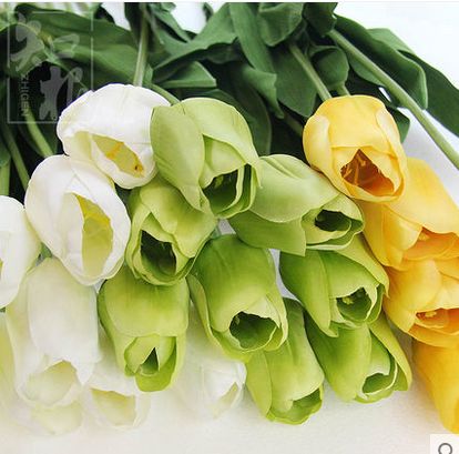 ��ɫ������