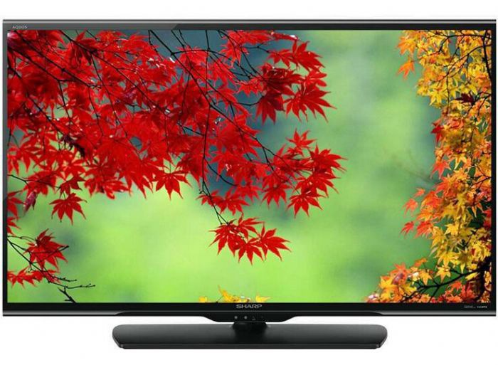 ���յ��ӻ�