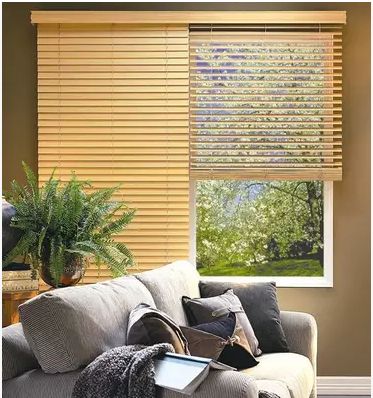 ��Ҷ����