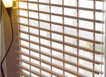 ��Ҷ����