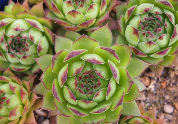 ��������ô��