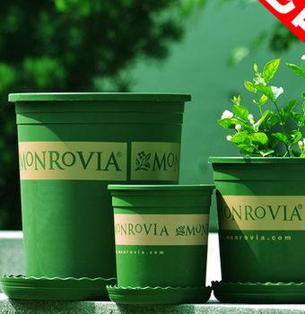 ���ϻ���