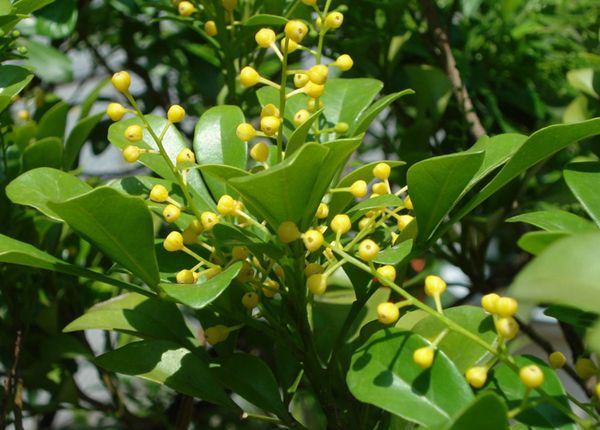 ��������ô��