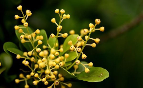 ��������ô��