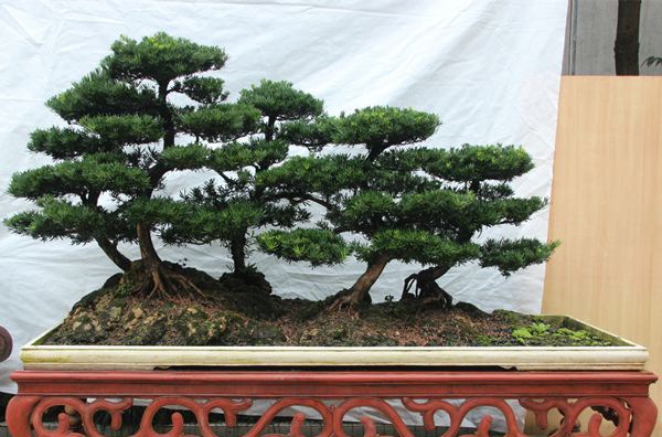 �޺�����ô��