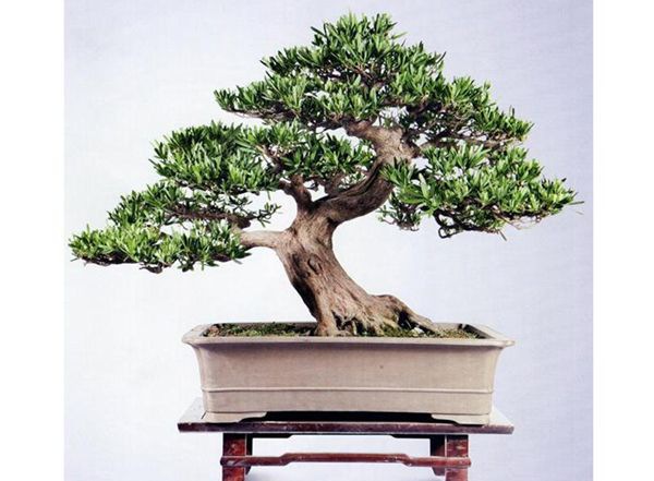 �޺�����ô��