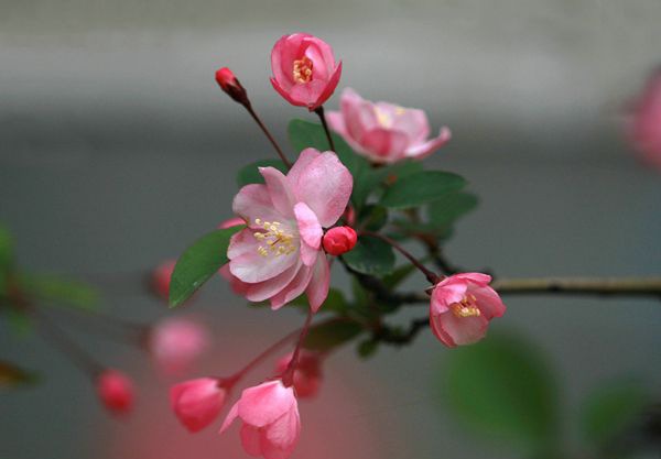 ���Ļ���ô��