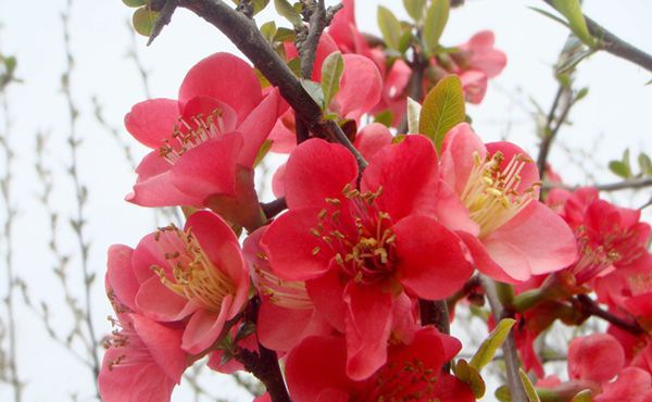 ���Ļ���ô��