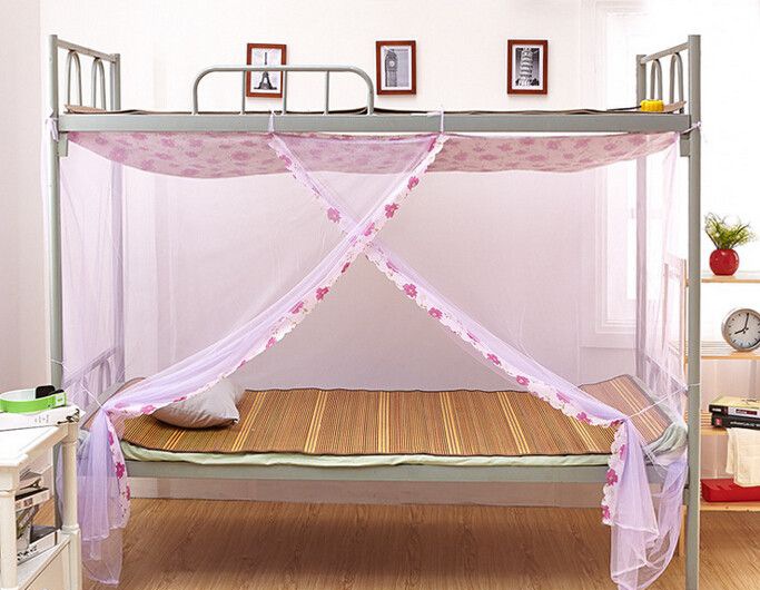 ѧ������