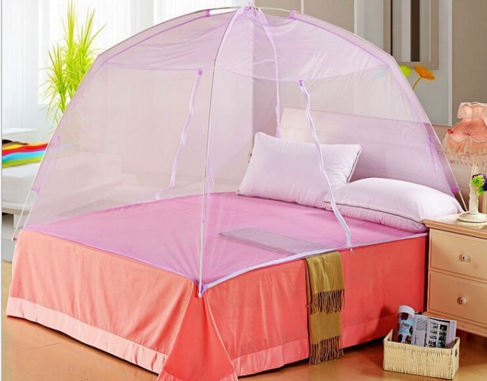 ѧ������