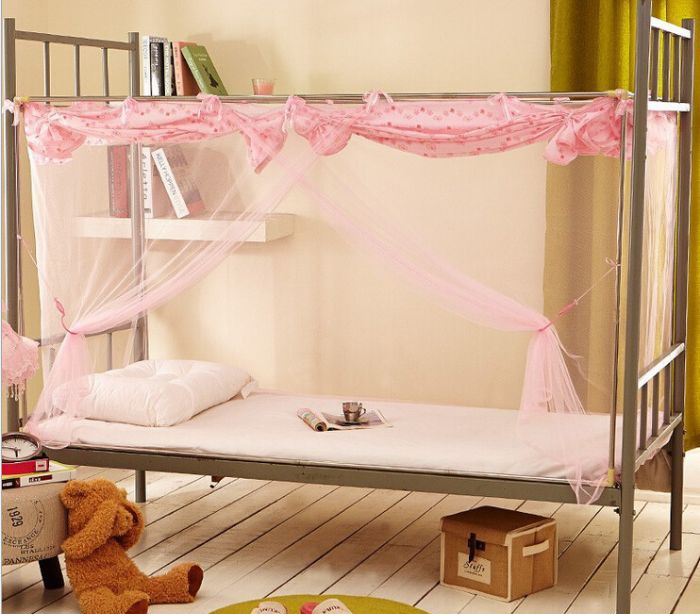 ѧ������