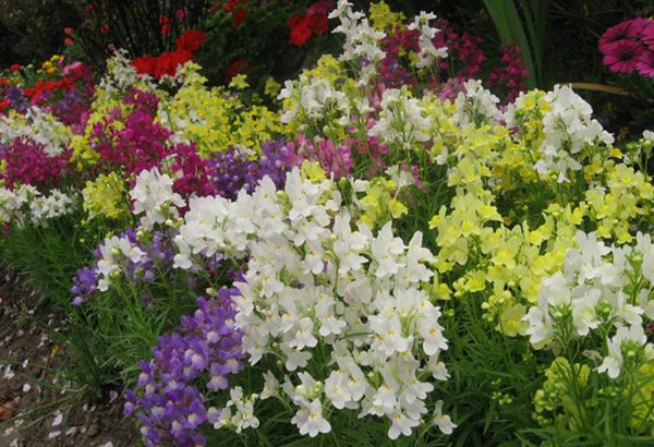 �������ô��