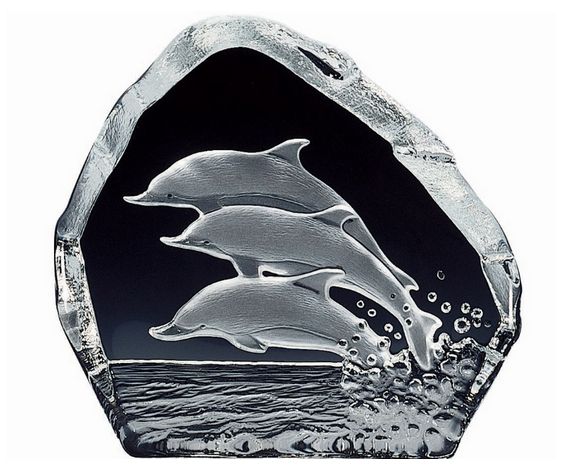 �Ҿ�ʱ��ˮ���ڼ��ڷų�ʶ