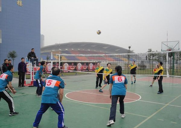 ���򳡵ر�׼�ߴ�