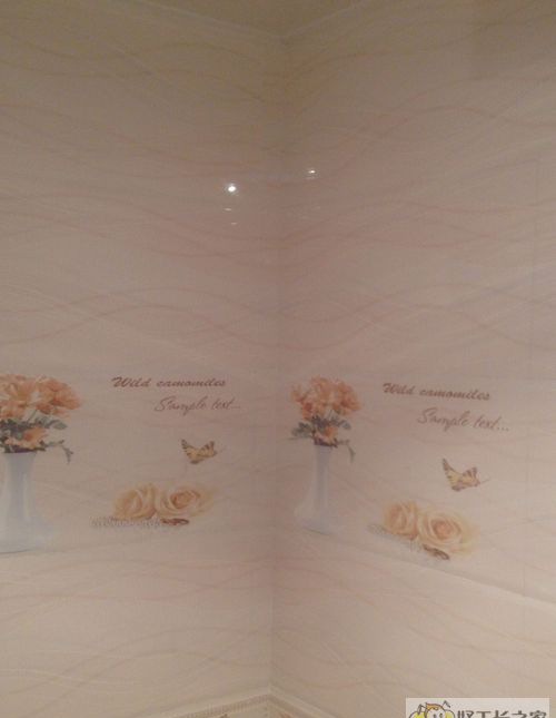 ������ӰС��װ��Ч��ͼ