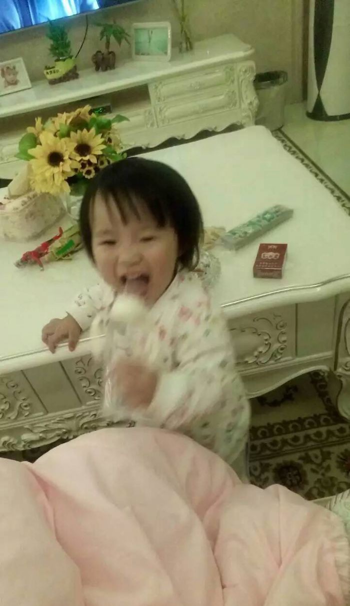 ̫ԭ���ֻ�԰װ��Ч��ͼ