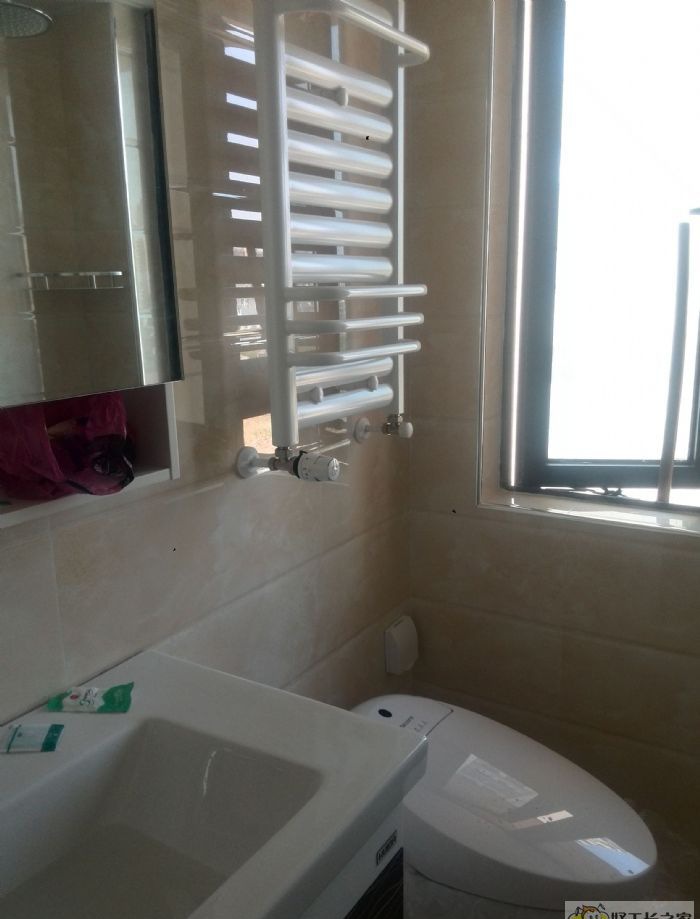 �人İİ��װ��Ч��ͼ