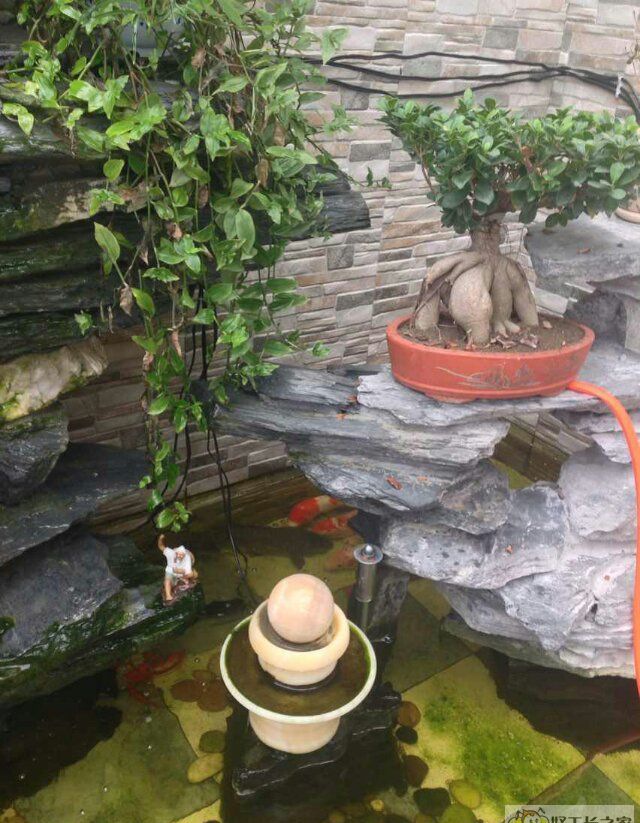 ���������س���ܰ԰װ��Ч��ͼ