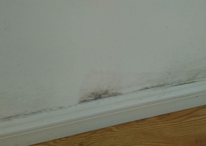 �ൺ��С��װ��Ч��ͼ