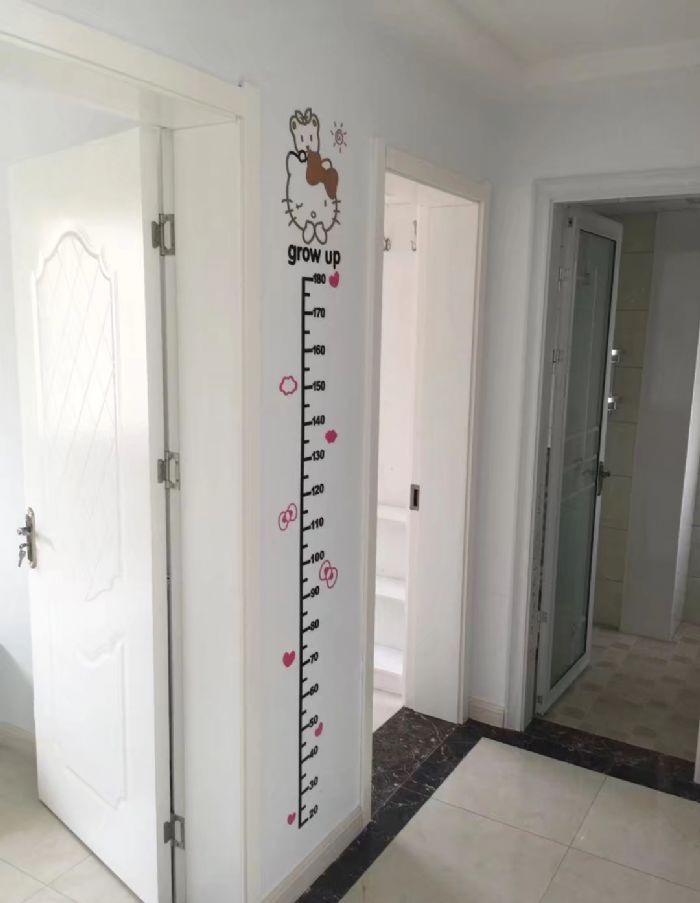 �����̵������װ��Ч��ͼ