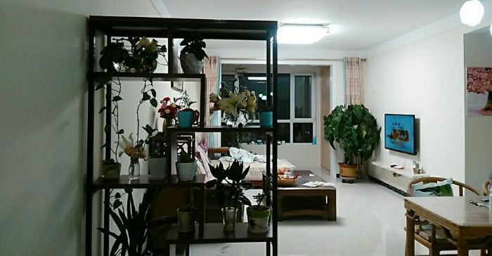 ʯ��ׯʩ������ʵ��ͼ����װ��Ч��ͼ