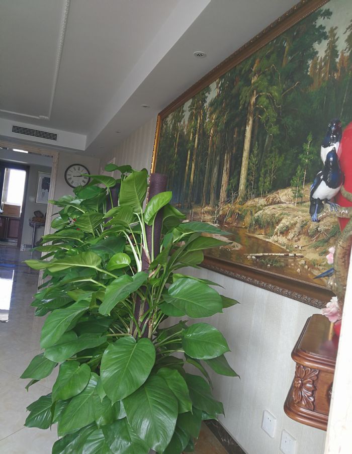 ����С��·108��Ժװ��Ч��ͼ