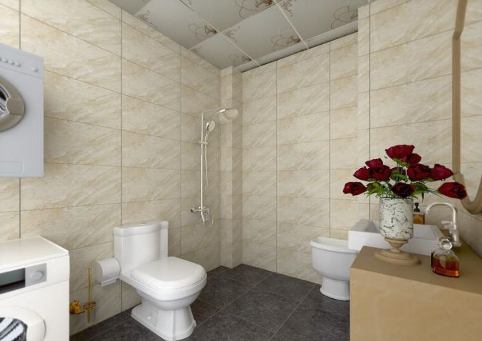 ����������������װ��Ч��ͼ