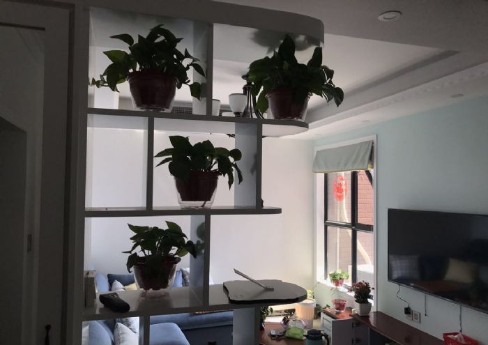 ֣�ݽ���ɽ��װ��Ч��ͼ