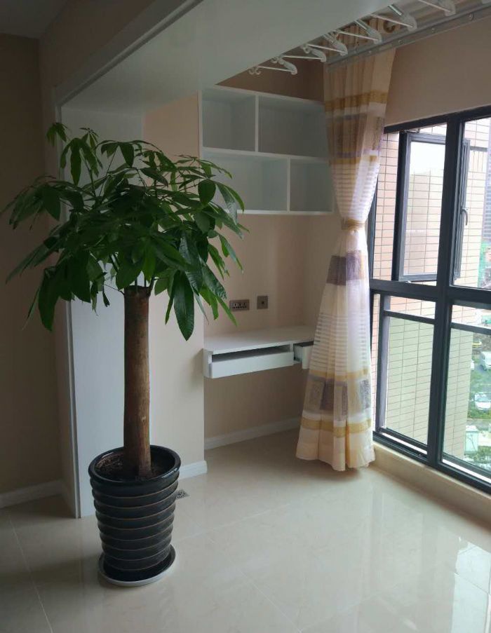 �������׹���װ��Ч��ͼ