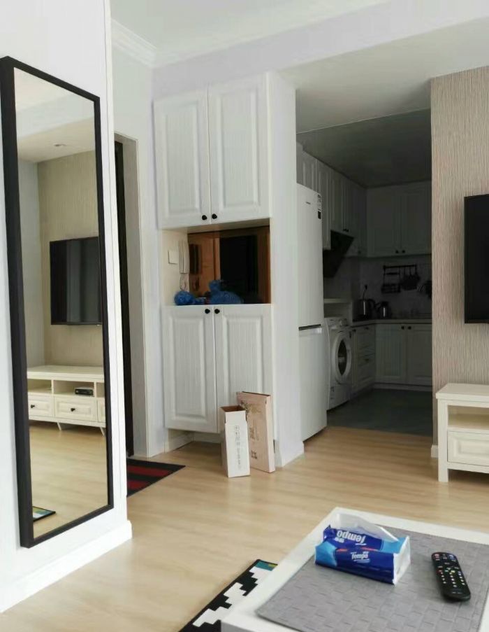 上海汇舒路119弄10号1302装修效果图