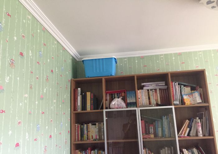 青岛梦境江南装修效果图